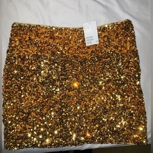 H&M Sequin Skirt